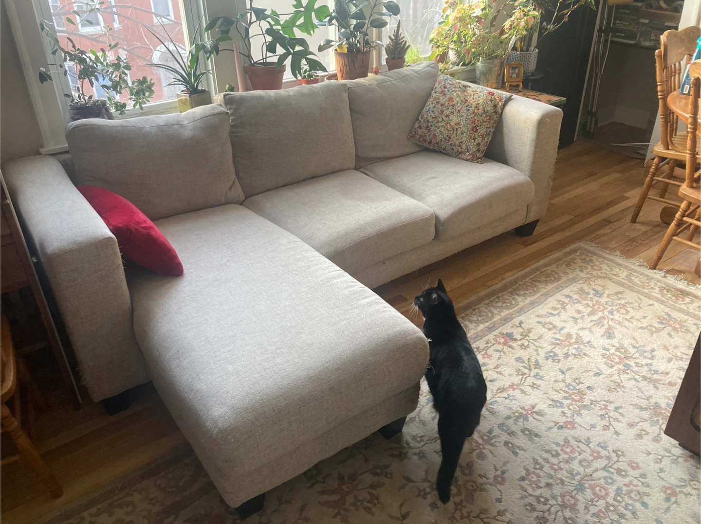 FREE Light Grey Sofa - Some Wear - photo 2