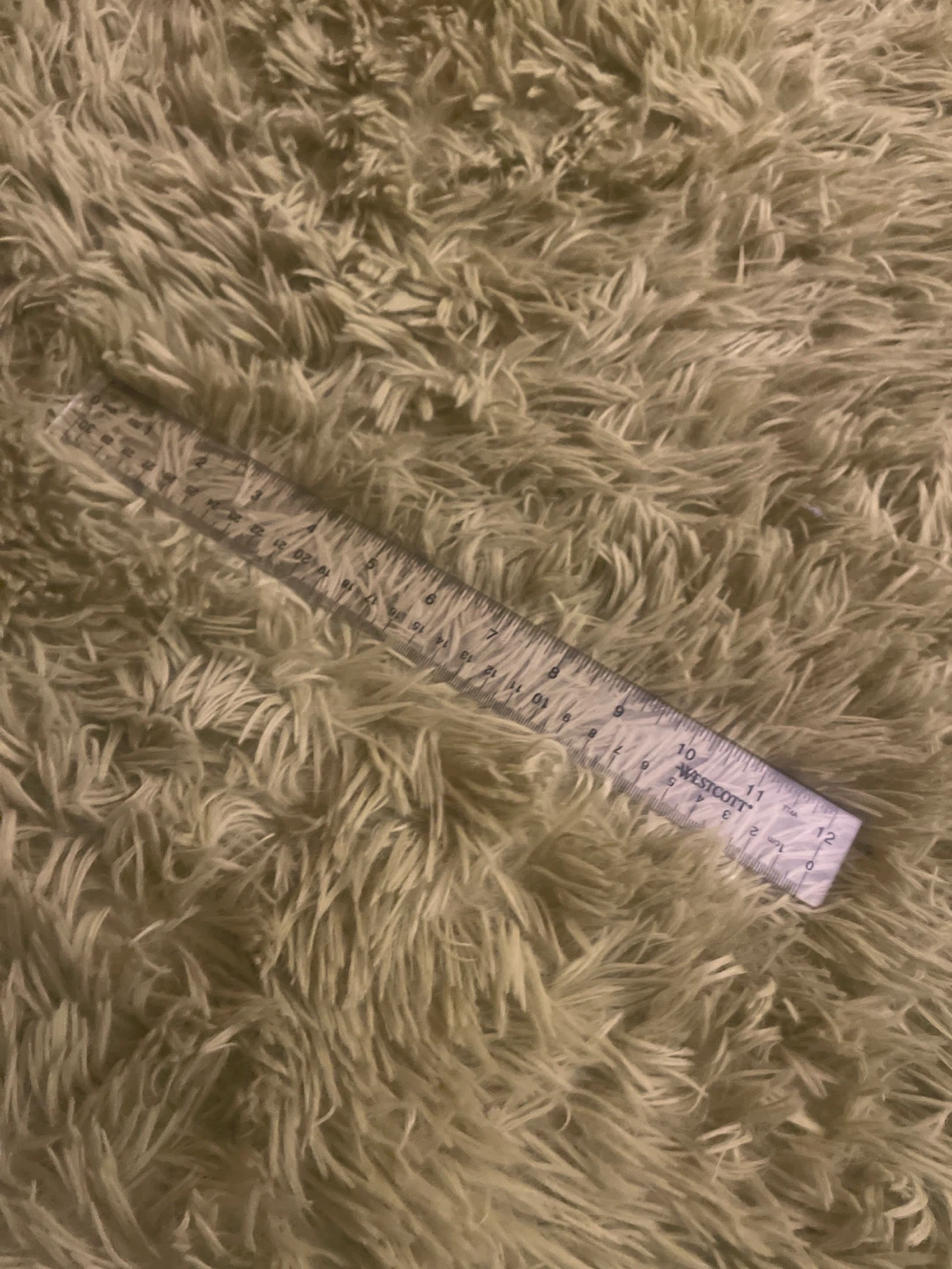 Westcott 12-inch Ruler🥕