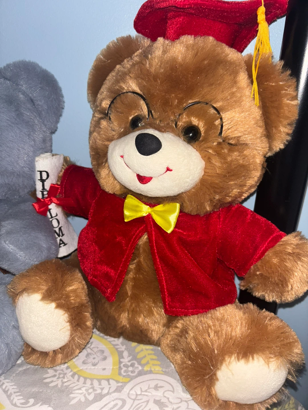 Graduation Teddy Bear