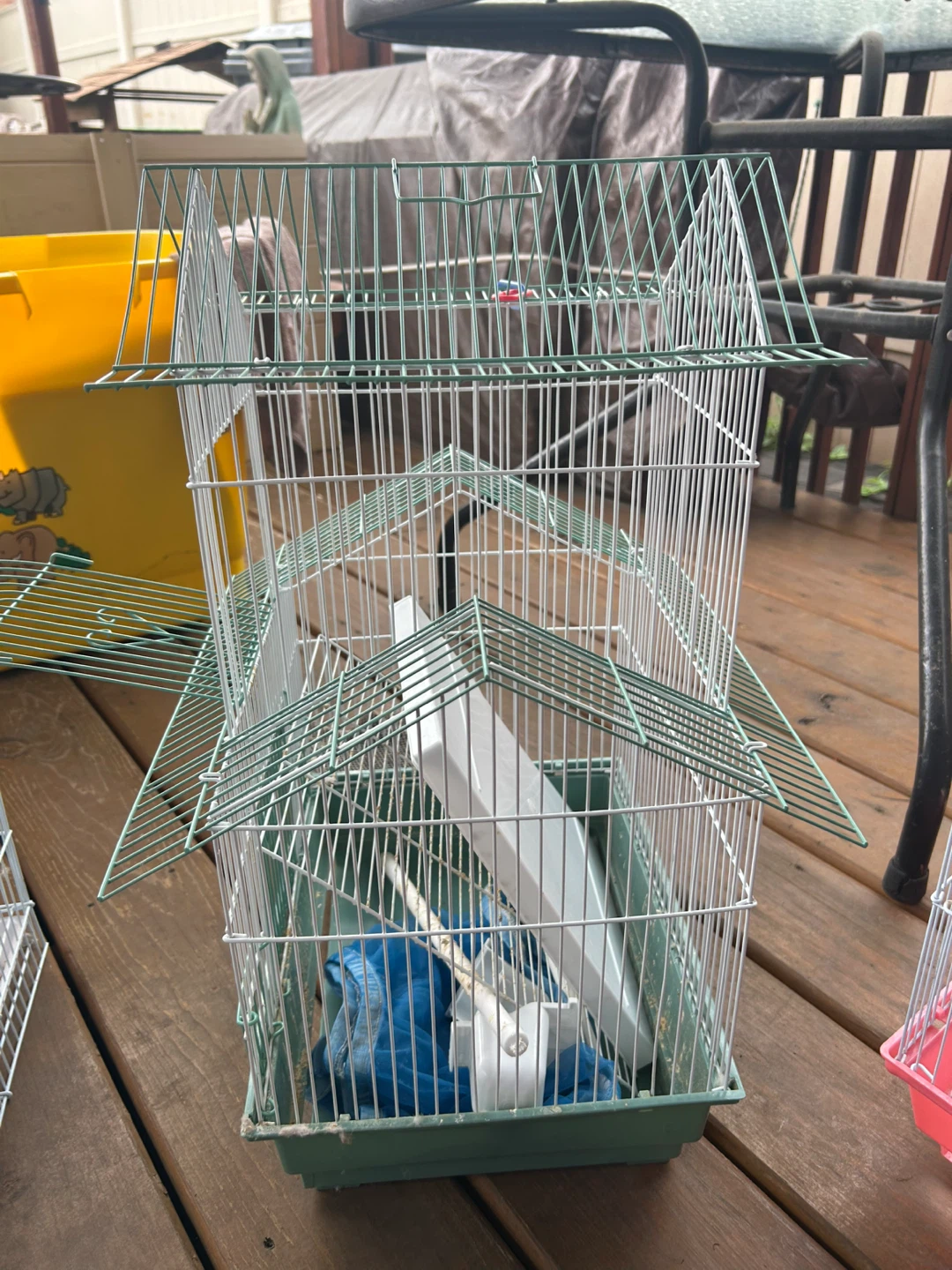 Bird Cage