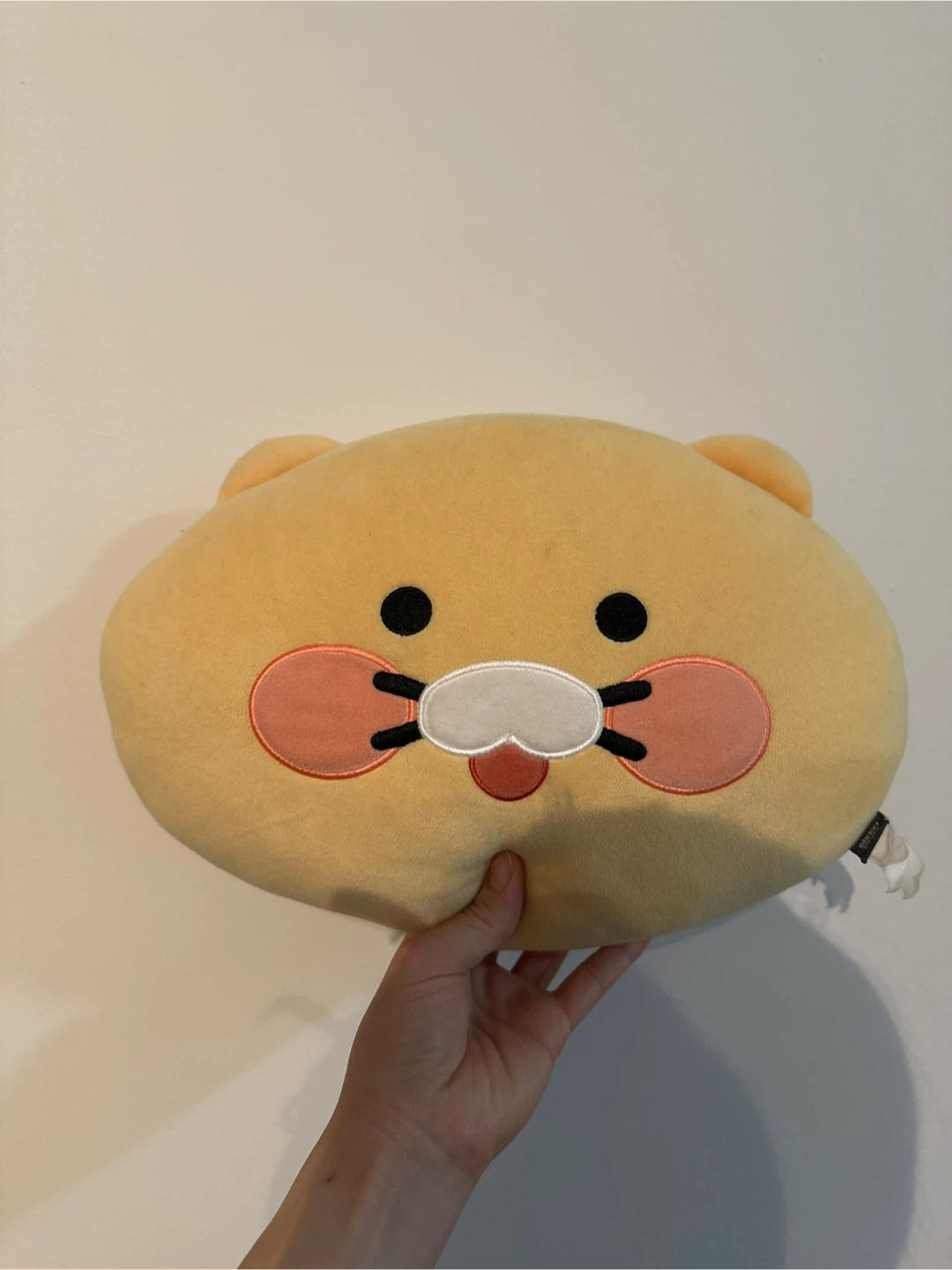 Kakao Friends Ryan Face Cushion