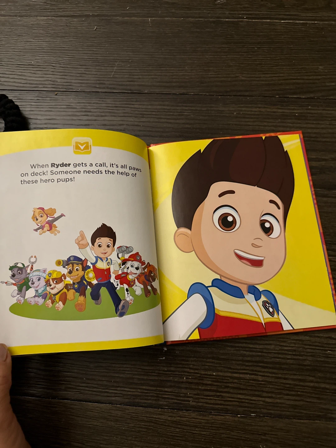 🥕Nickelodeon Paw Patrol Meet Paw Patrol Book - photo 2