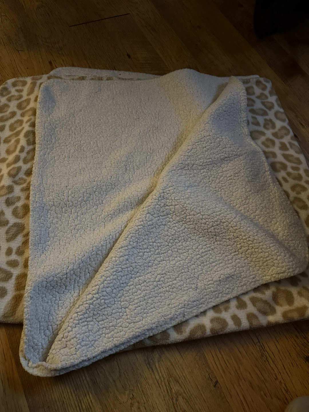 Leopard Print Blanket 🥕 - photo 2