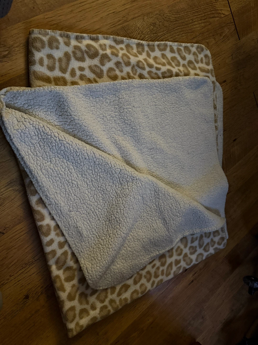 Leopard Print Blanket 🥕
