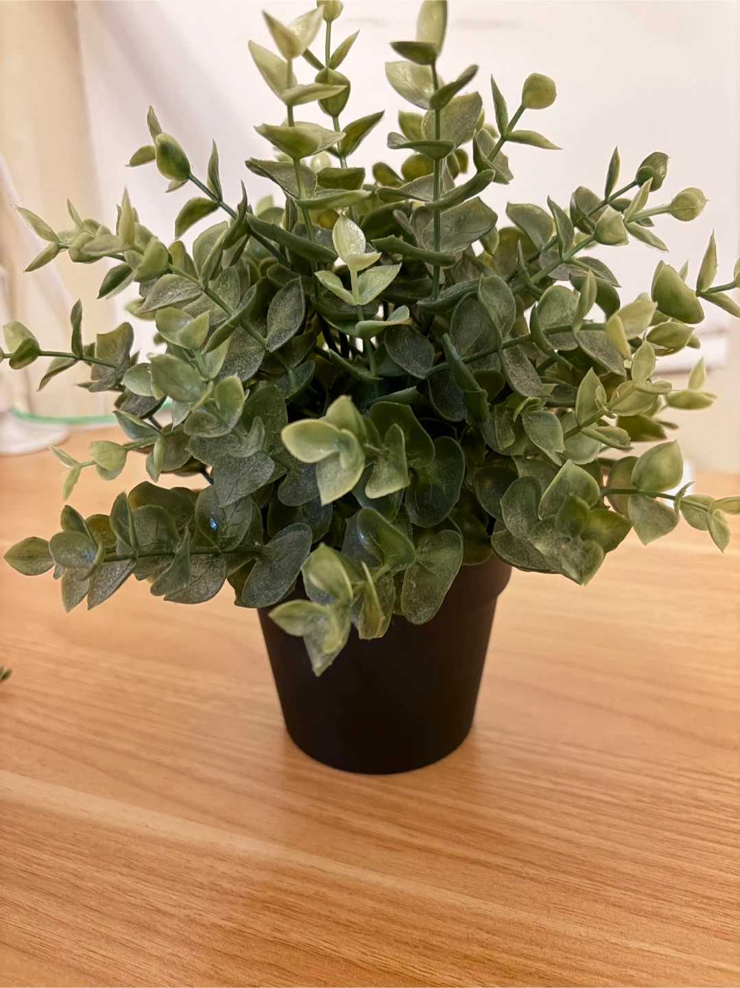 IKEA artificial plants- all for - photo 2