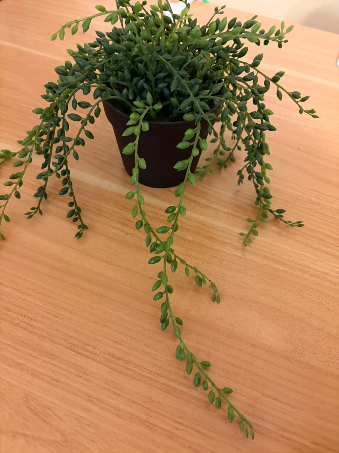 IKEA artificial plants- all for - photo 5