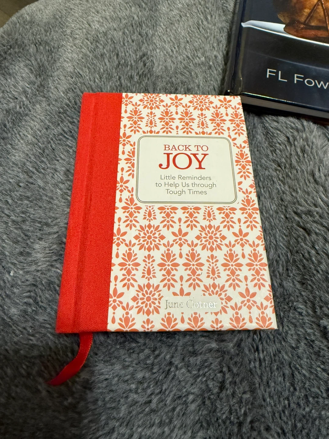 Fifty Shades of Chicken & Back to Joy Books - photo 2