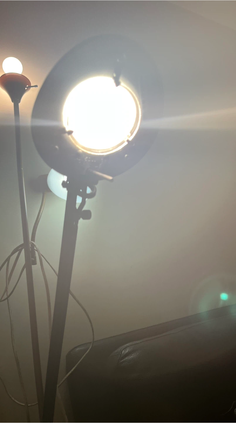 Catalina Lighting Adjustable Halogen Desk Lamp - photo 4