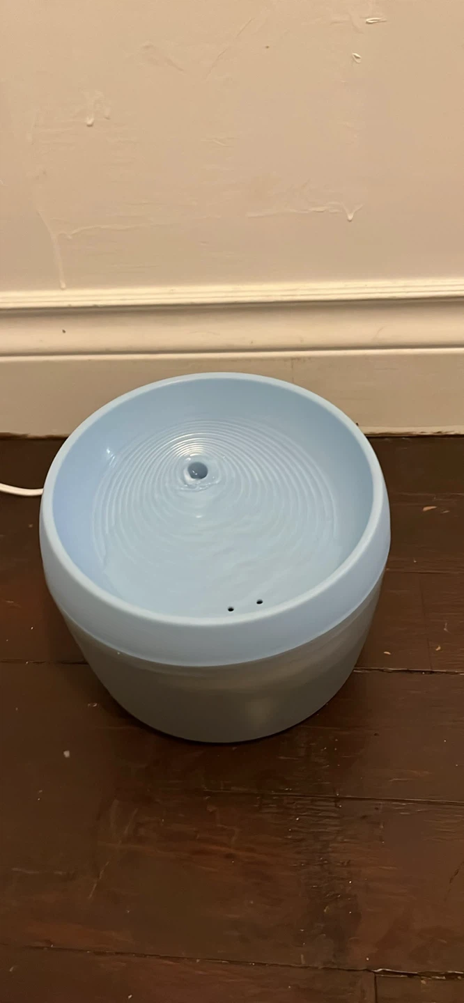 Cat Water Fountain - Blue & Grey
