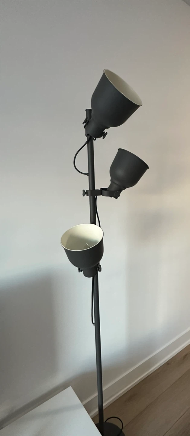 Floor Lamp - Adjustable Spotlight - photo 5