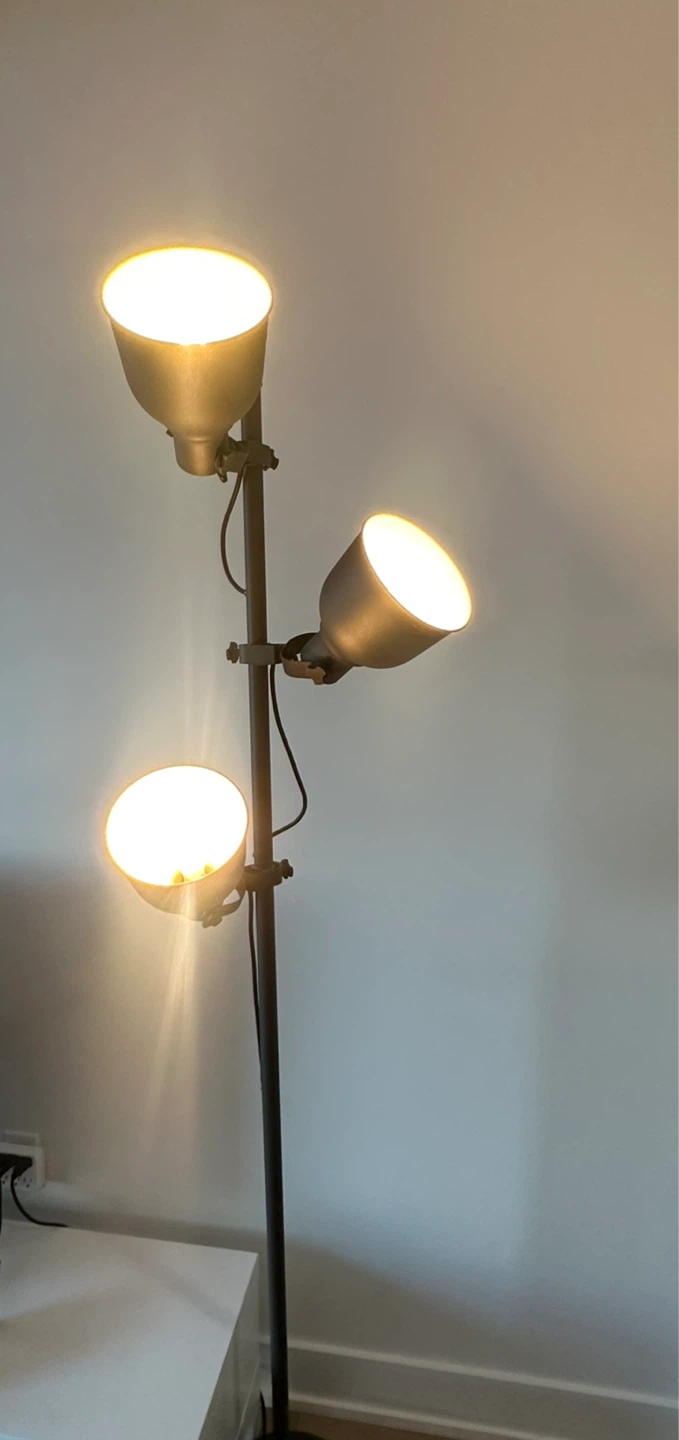 Floor Lamp - Adjustable Spotlight - photo 3