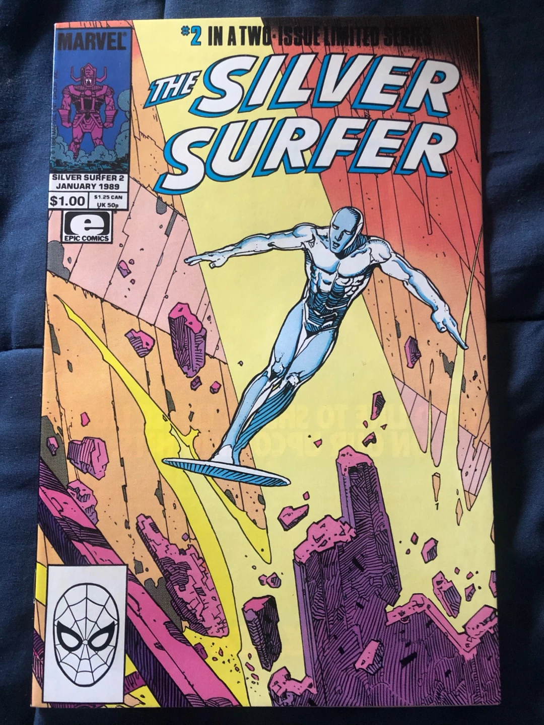 Silver Surfer - Parable by Mœbius - photo 2