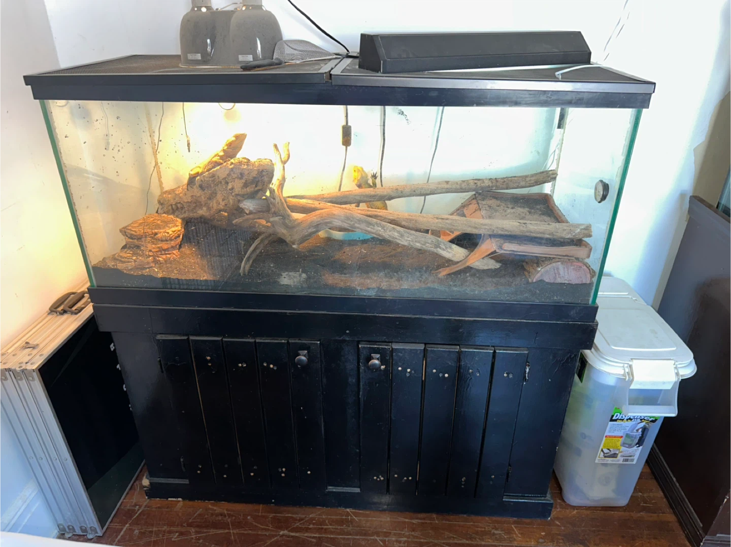 Bearded Dragon Tank with Stand (60 Gal)