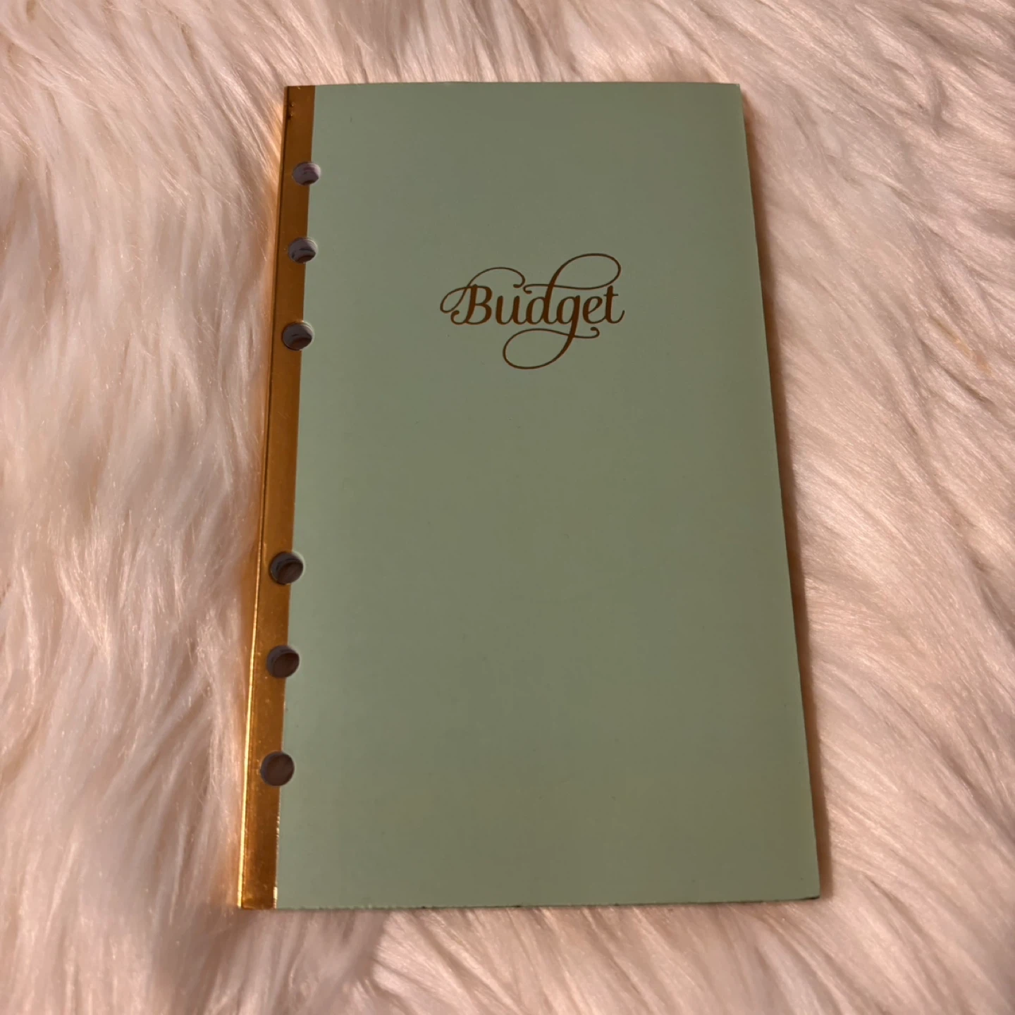 Budget Planner and To-Do Planner Set - photo 3