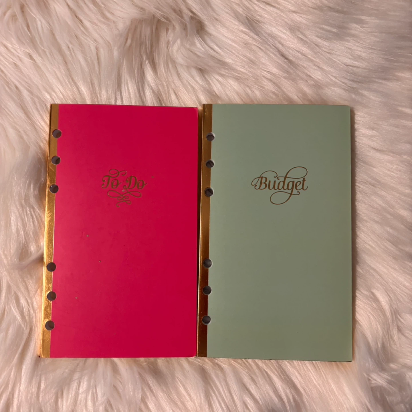 Budget Planner and To-Do Planner Set