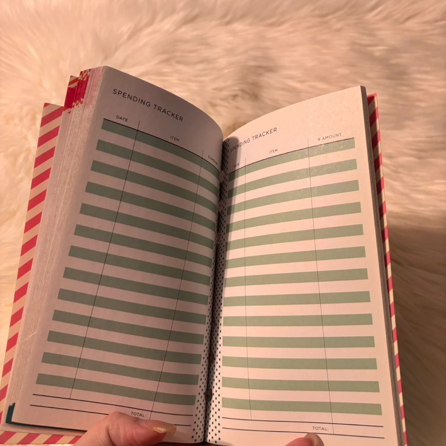 Budget Planner and To-Do Planner Set - photo 5