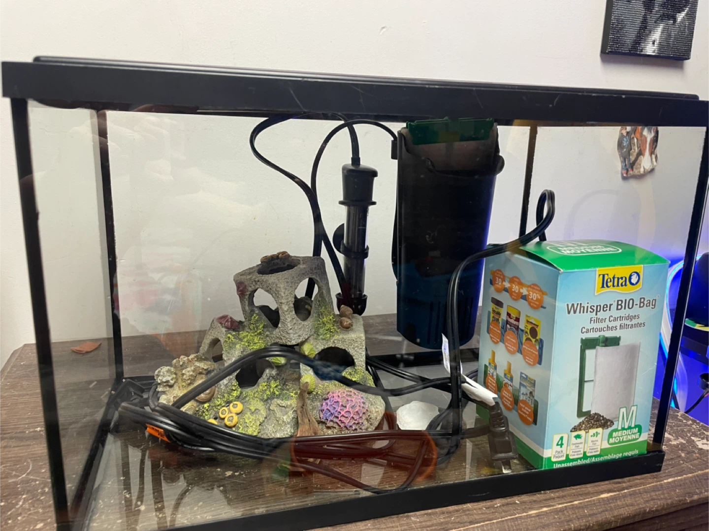 5 gallon fishtank set (no light)