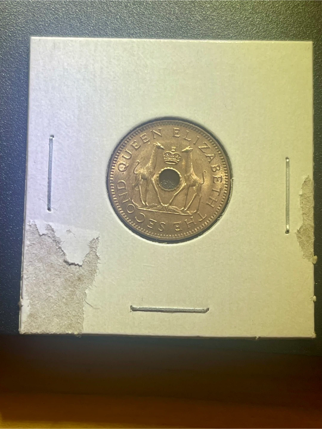 Rhodesia and Nyasaland Half Penny Coin - photo 2