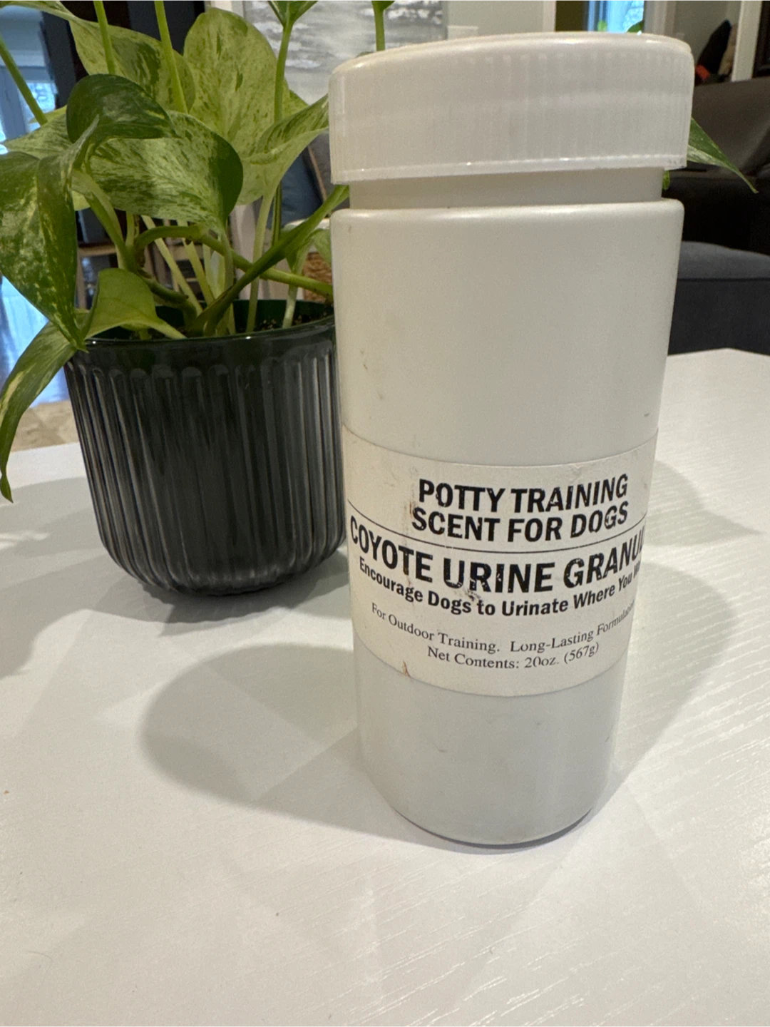 Coyote Urine Granules - Potty Training Scent for Dogs