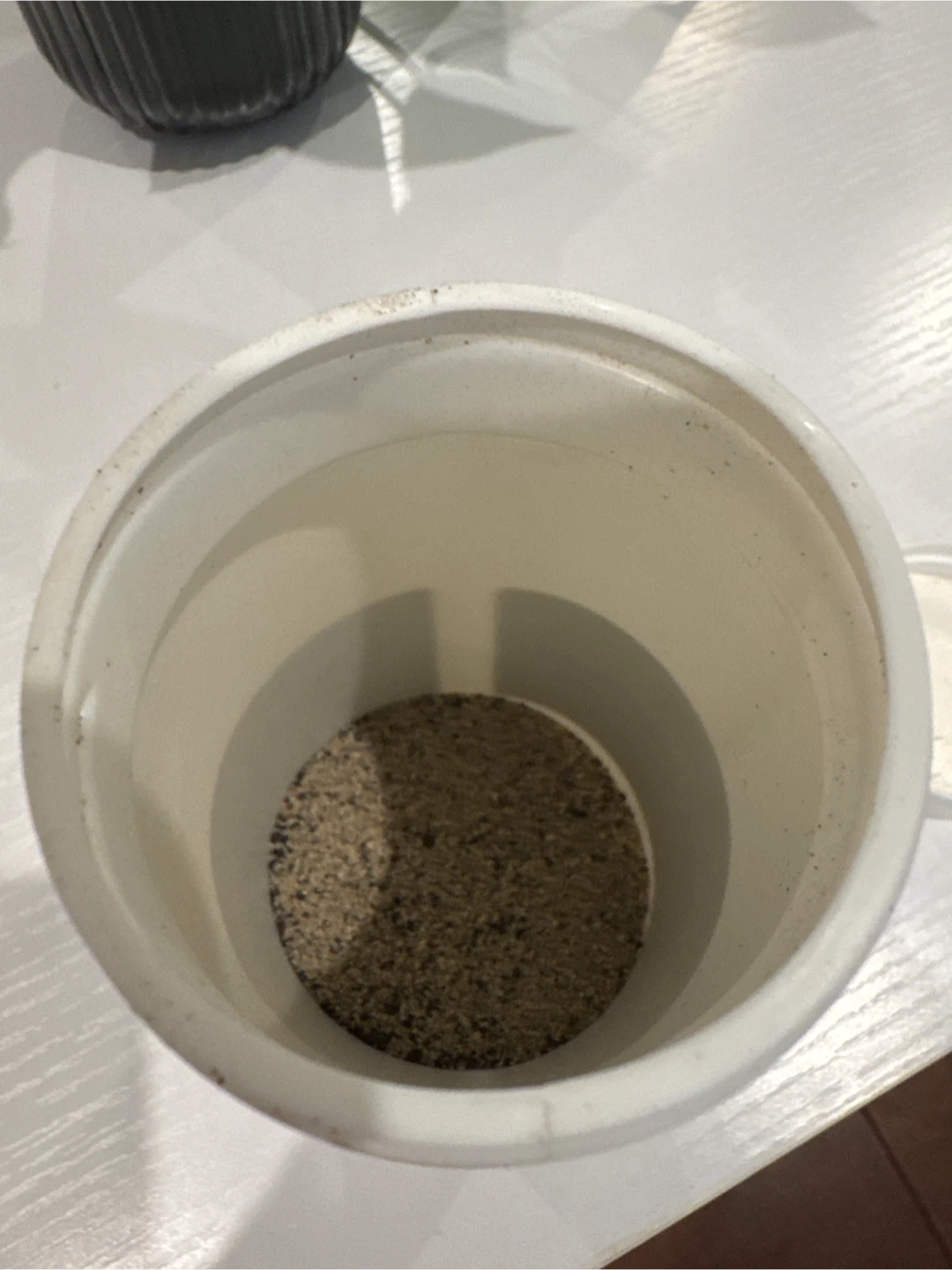 Coyote Urine Granules - Potty Training Scent for Dogs - photo 3