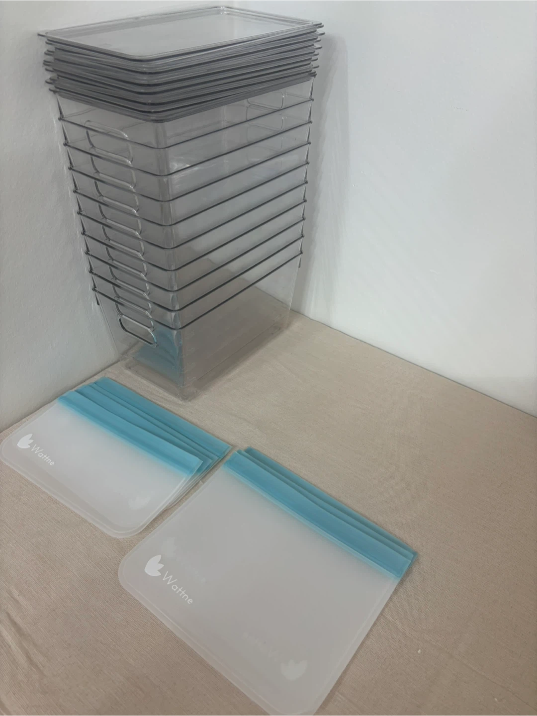 Clear Organizer Bins with Lids