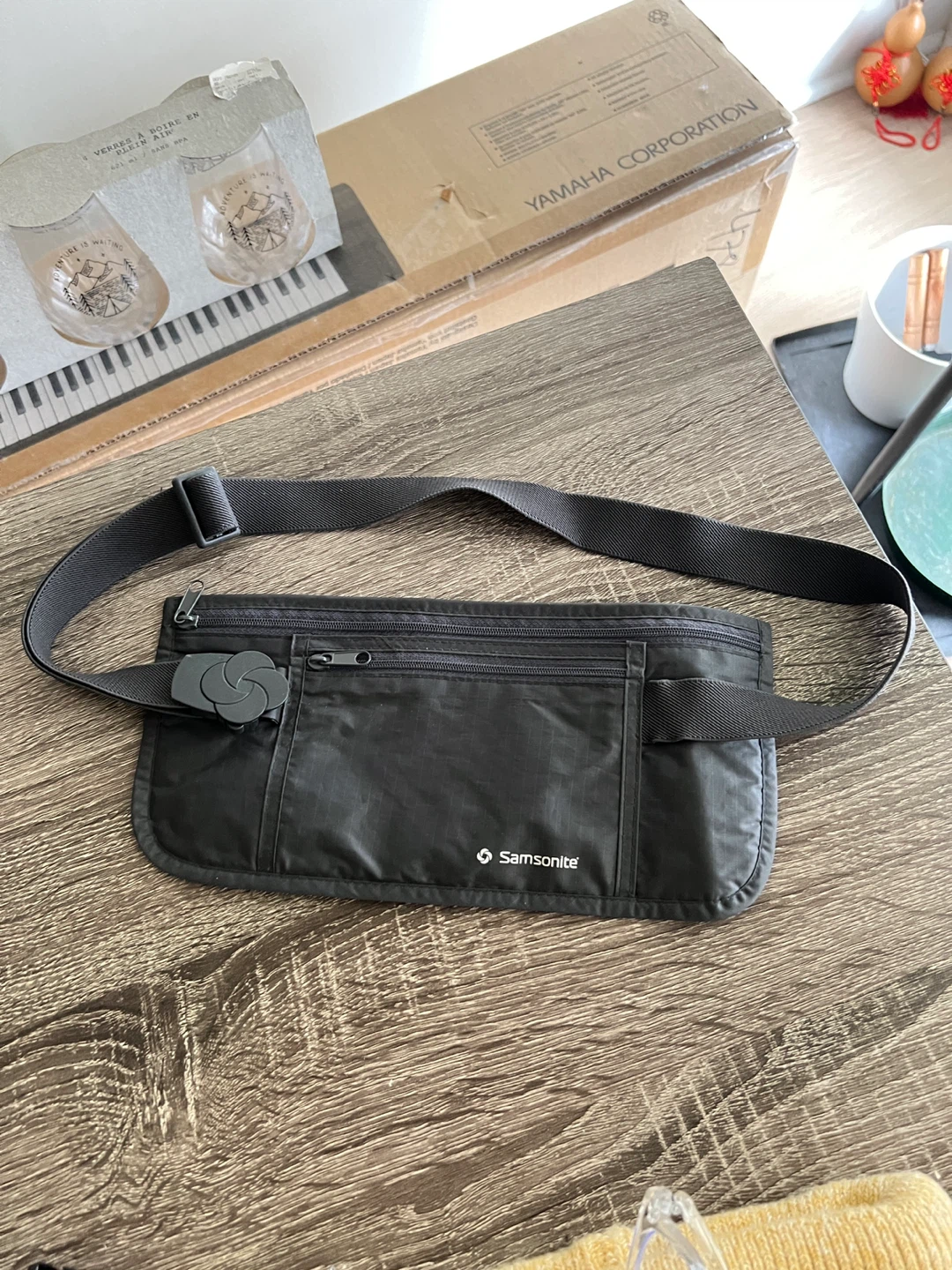 Samsonite money travel pouch