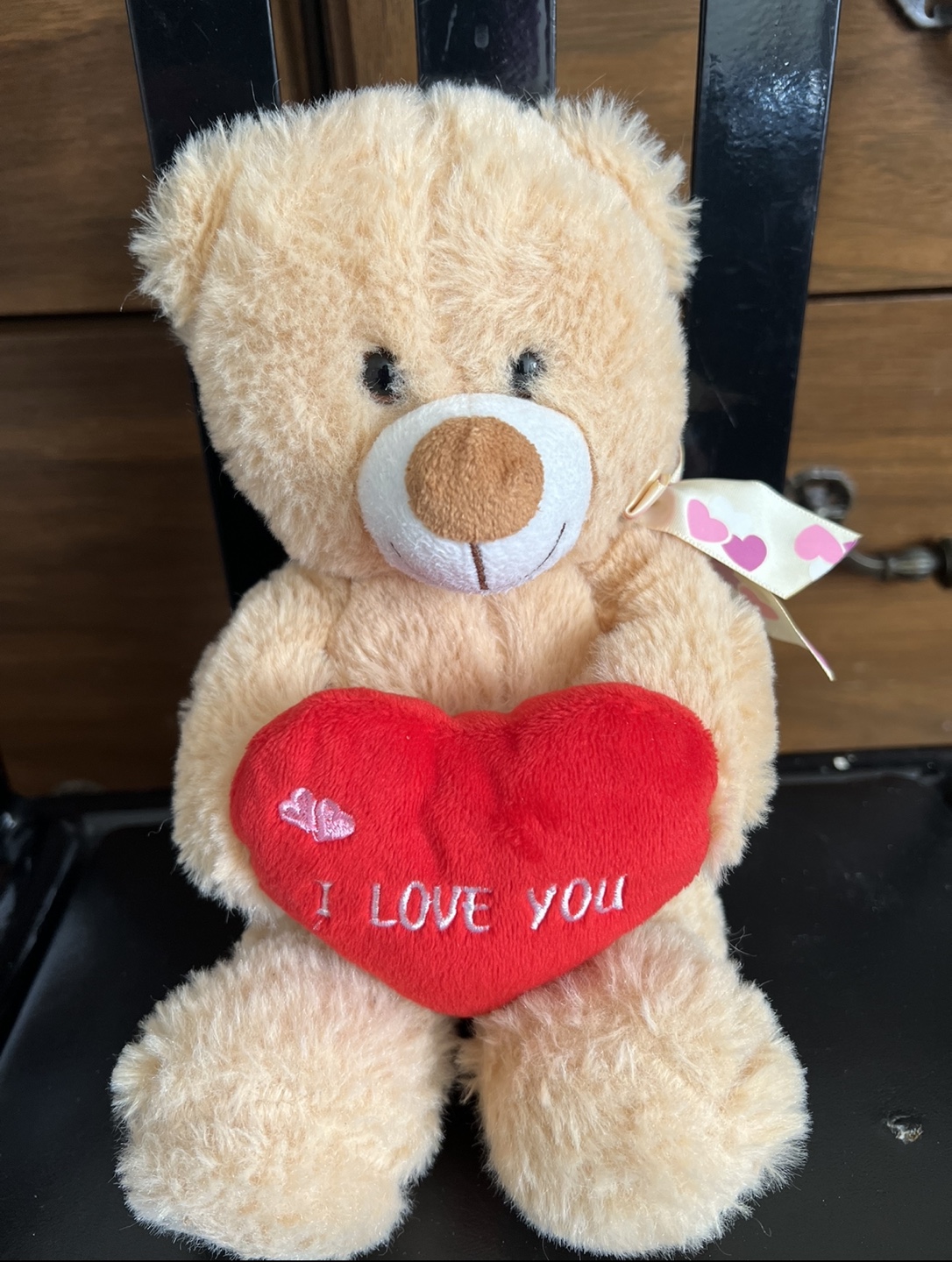 Brand New-Teddy Bear with I Love You Heart
