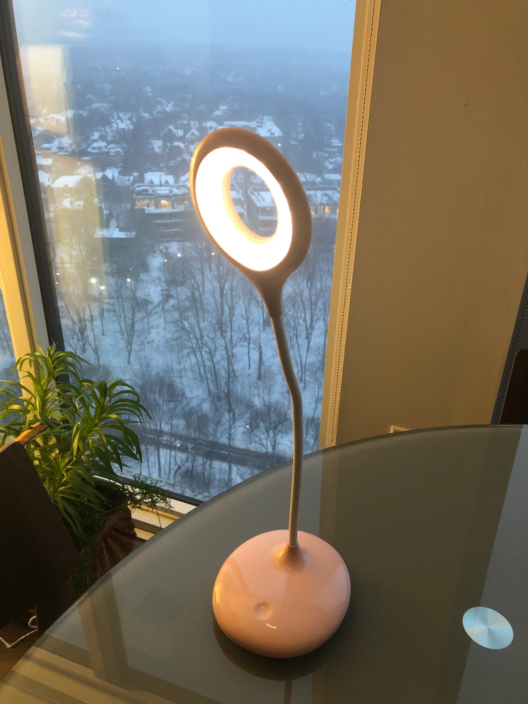 Pink LED Desk Lamp Cordless (comes with a charger)