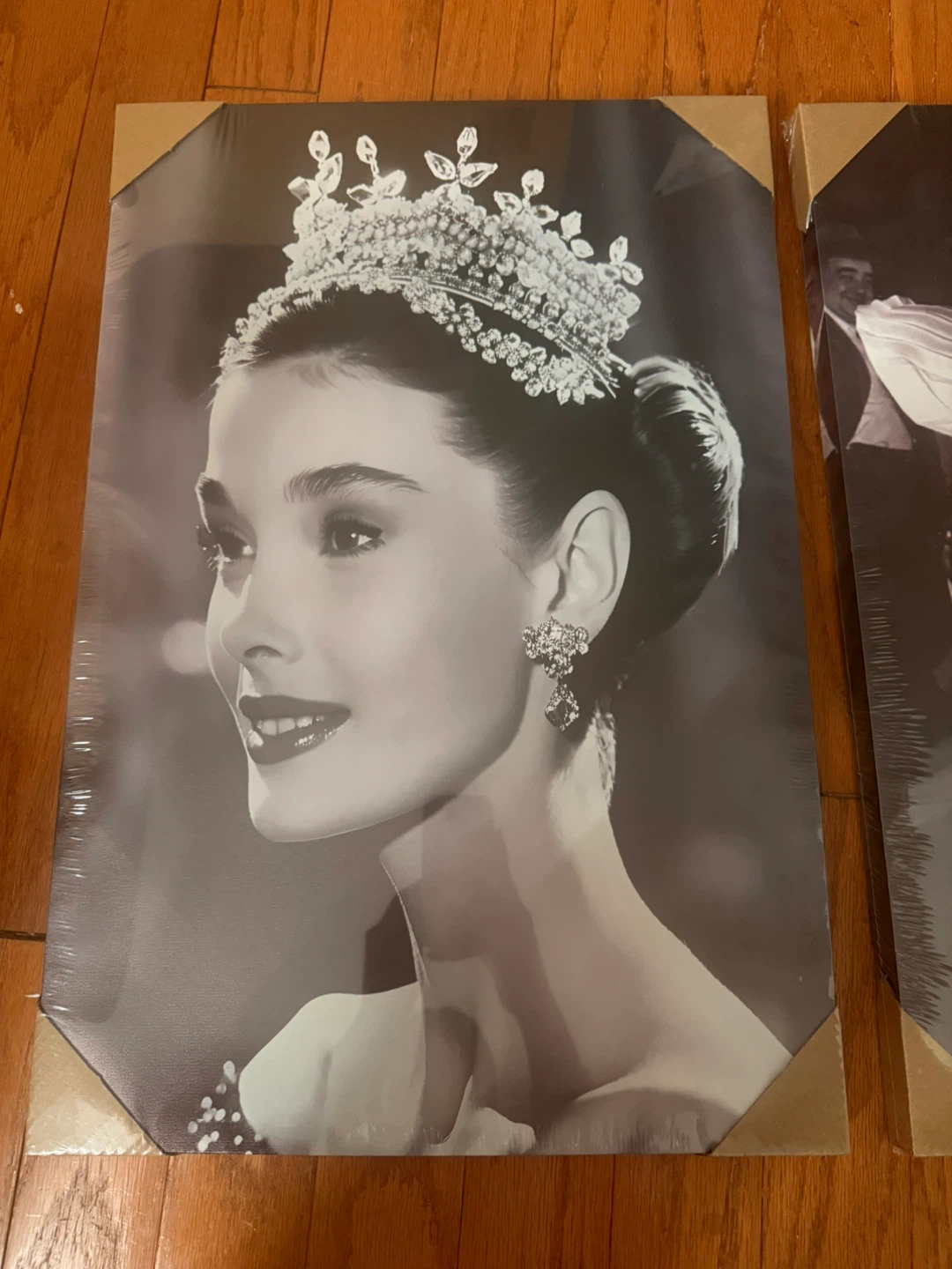 2pc Black & White Canvas Wall Art (Audrey + Marilyn)