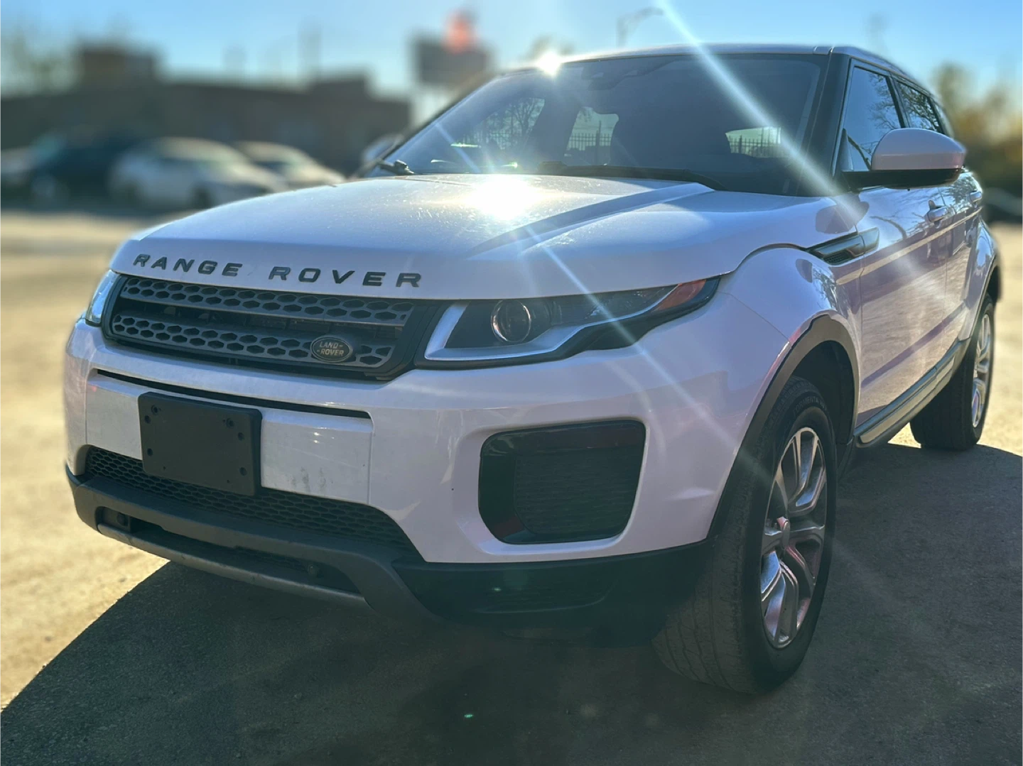 Range Rover Evoque - White Low Miles