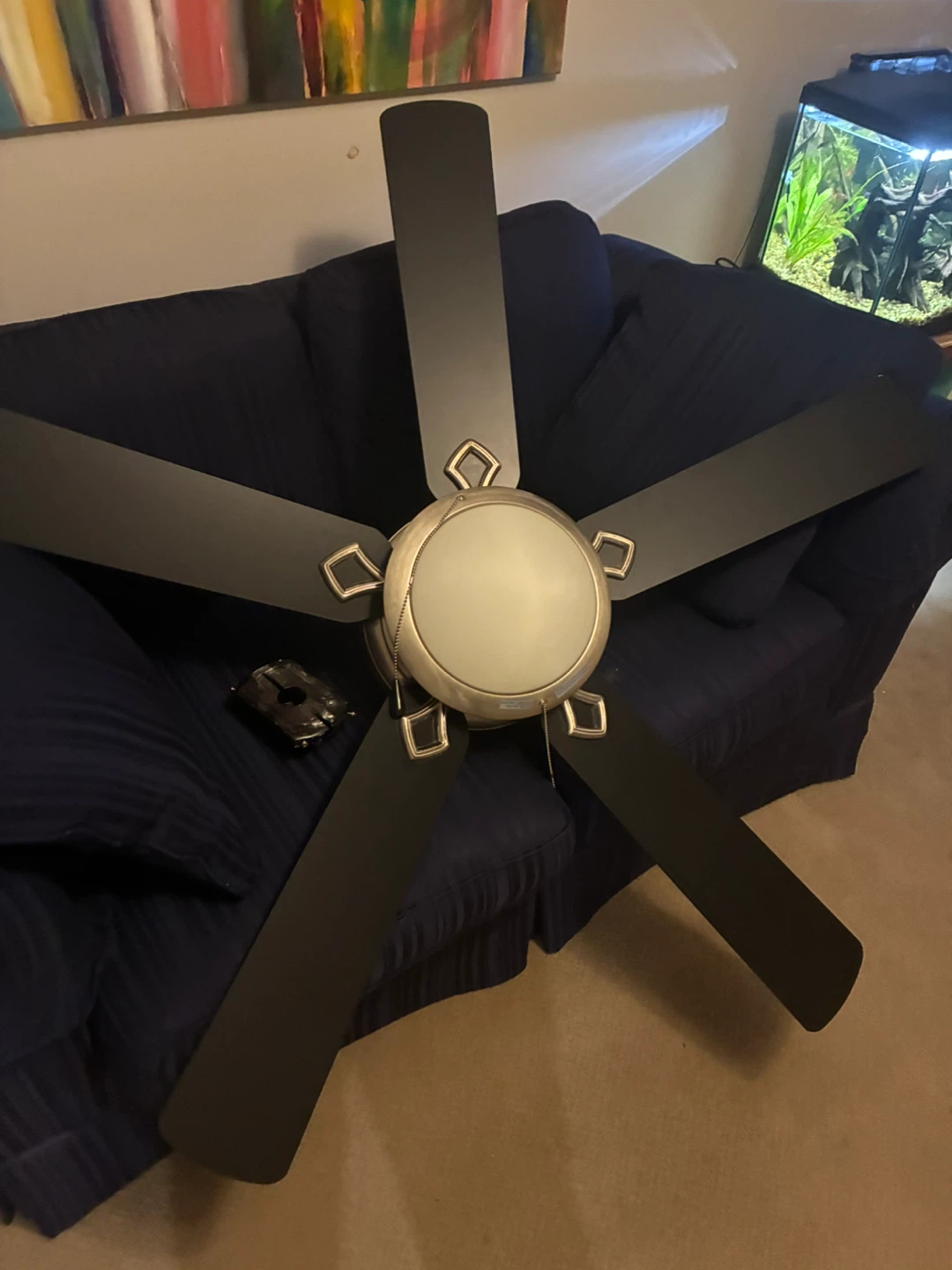 Ceiling Fan - Black Blades
