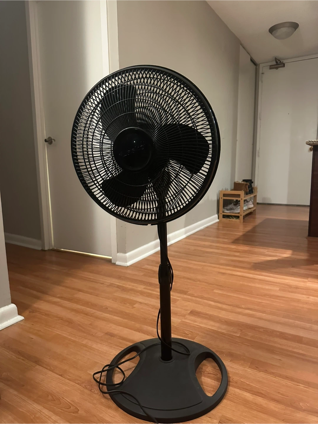 Black Stand Fan