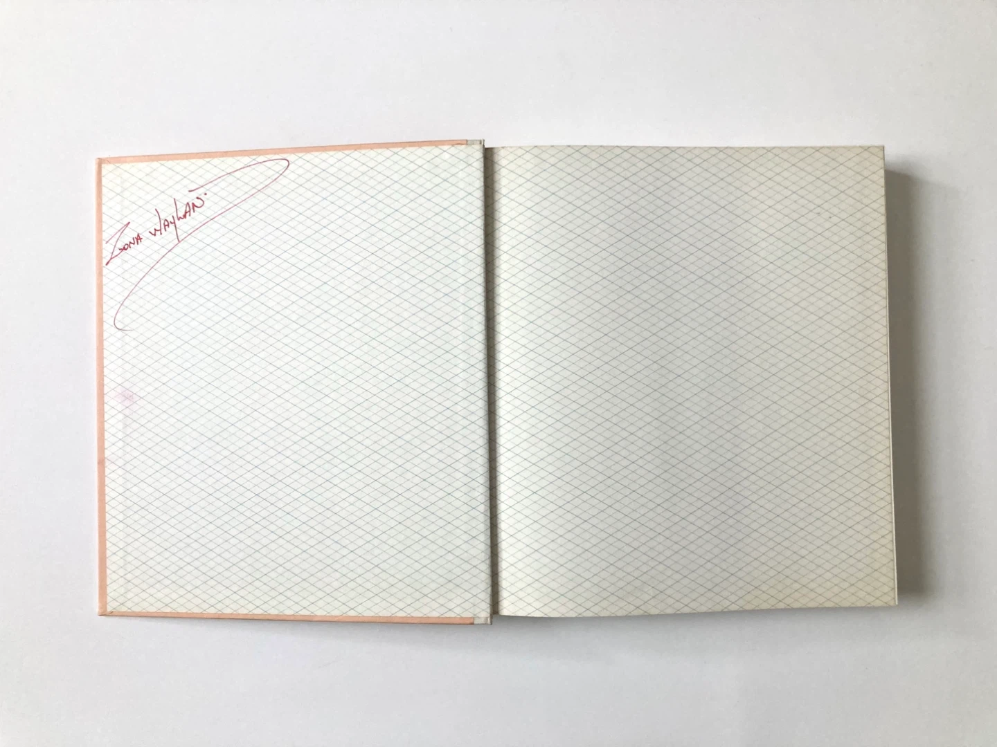 Vintage 1981 postmodern design decorating book - photo 3