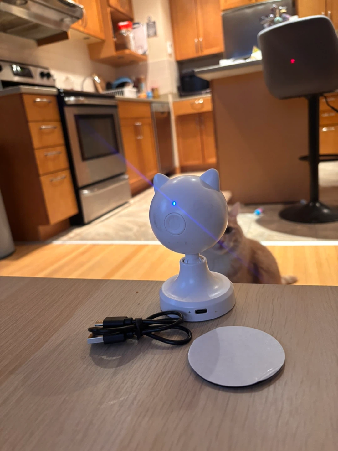 Cat toy - photo 3