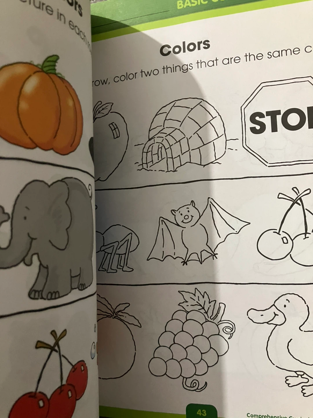 Comprehensive Curriculum of Basic Skills - Pre-K - photo 3