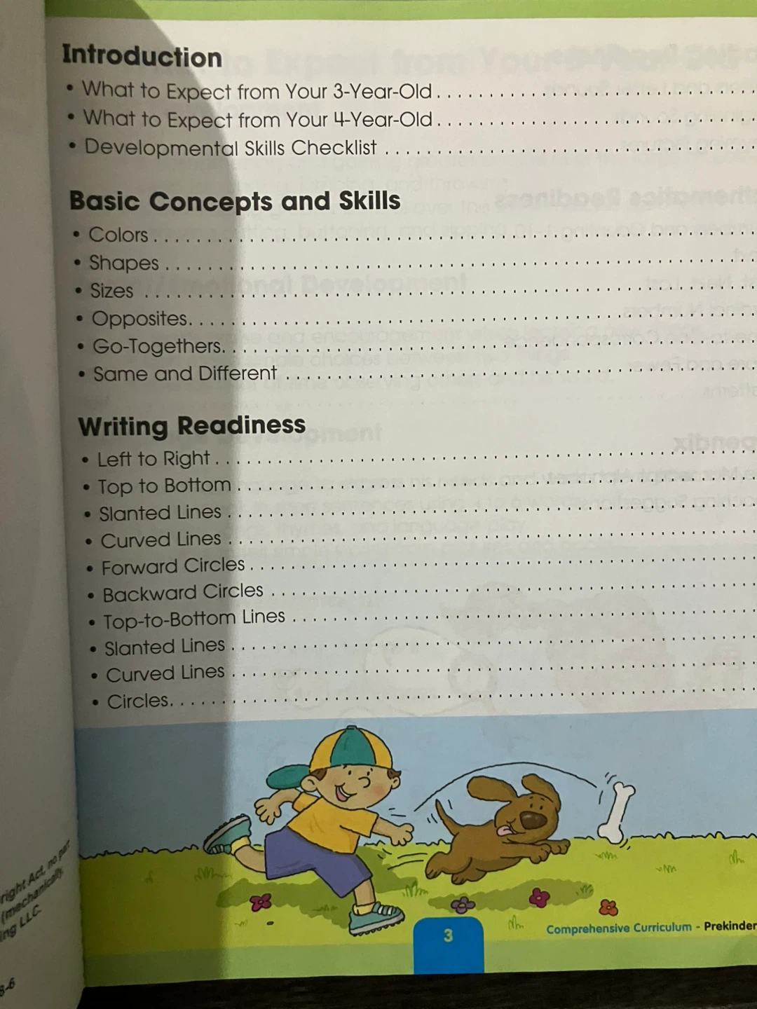 Comprehensive Curriculum of Basic Skills - Pre-K - photo 2