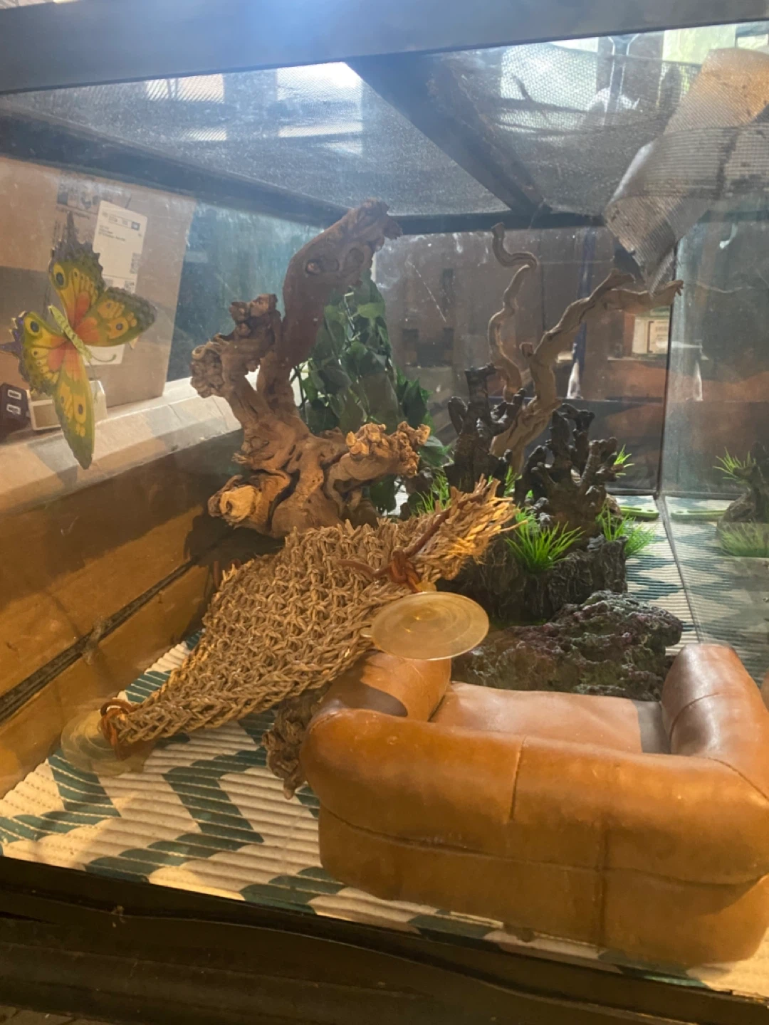 Terrarium with Decor - photo 2