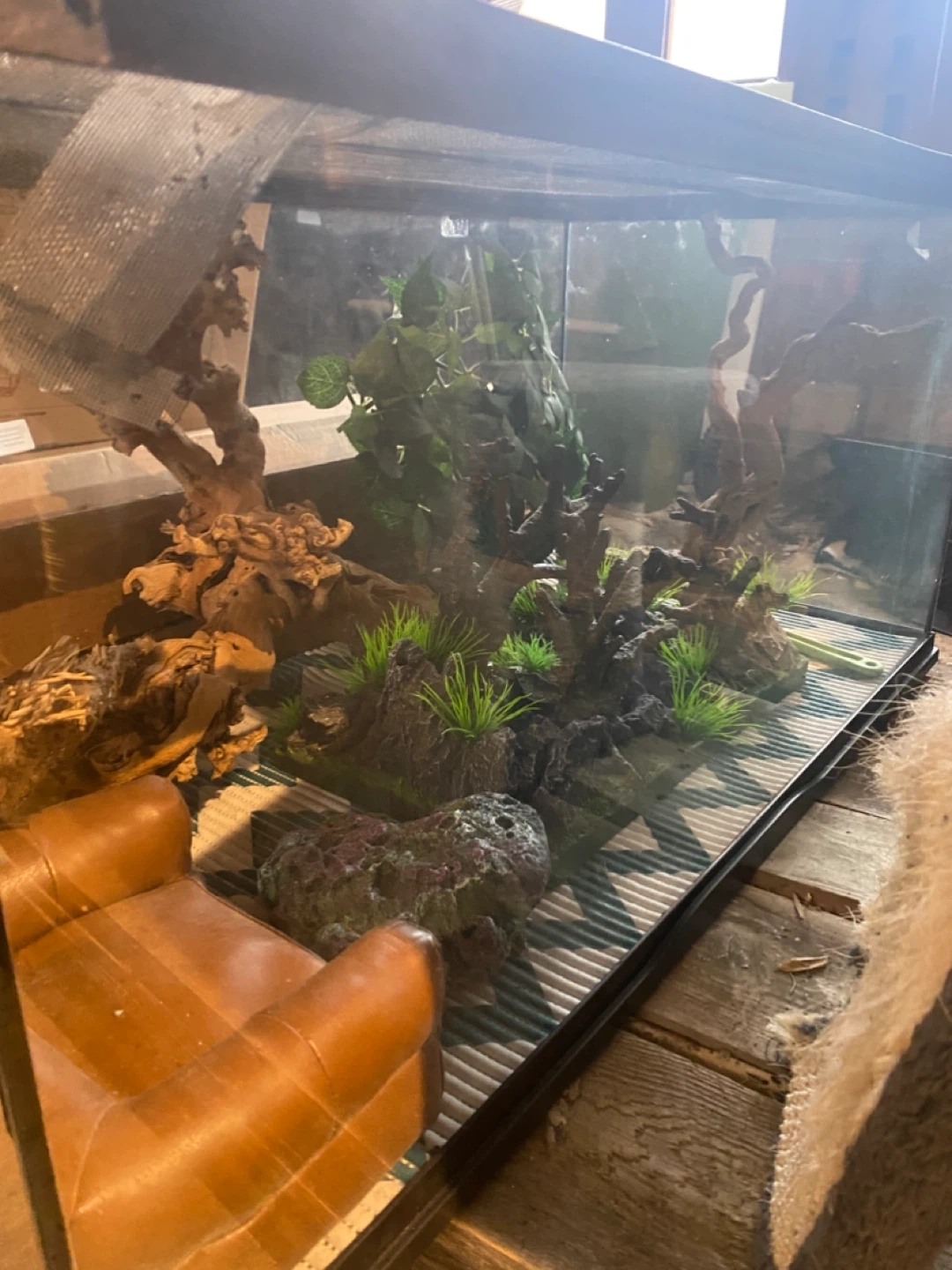 Terrarium with Decor