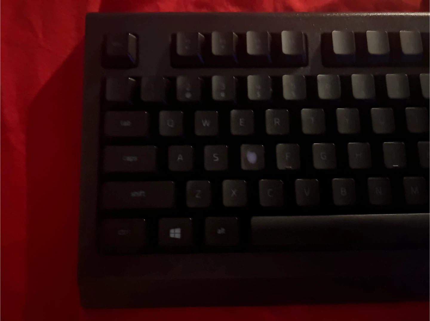 Razer Cynosa Lite Gaming Keyboard - photo 3