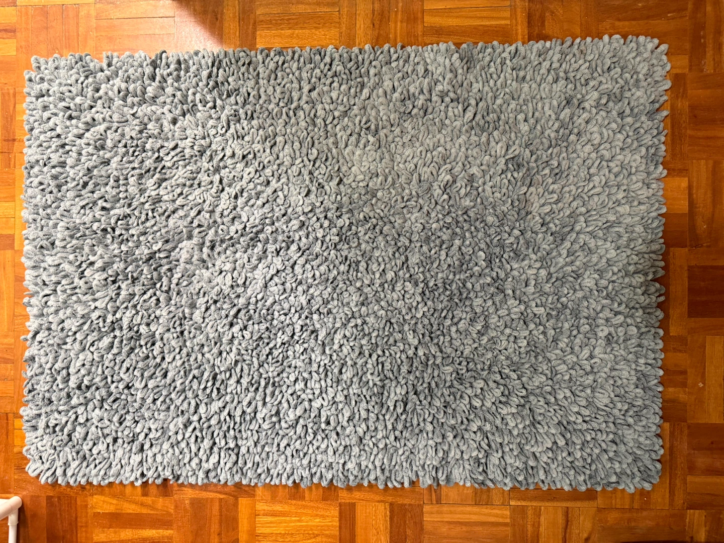 Blue/Grey Shag Rug