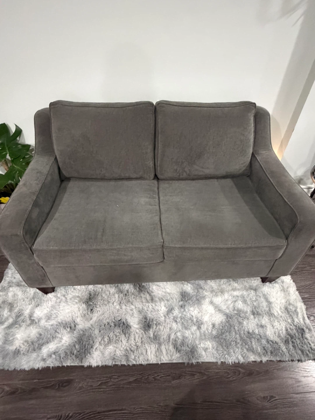 Grey Loveseat Sofa