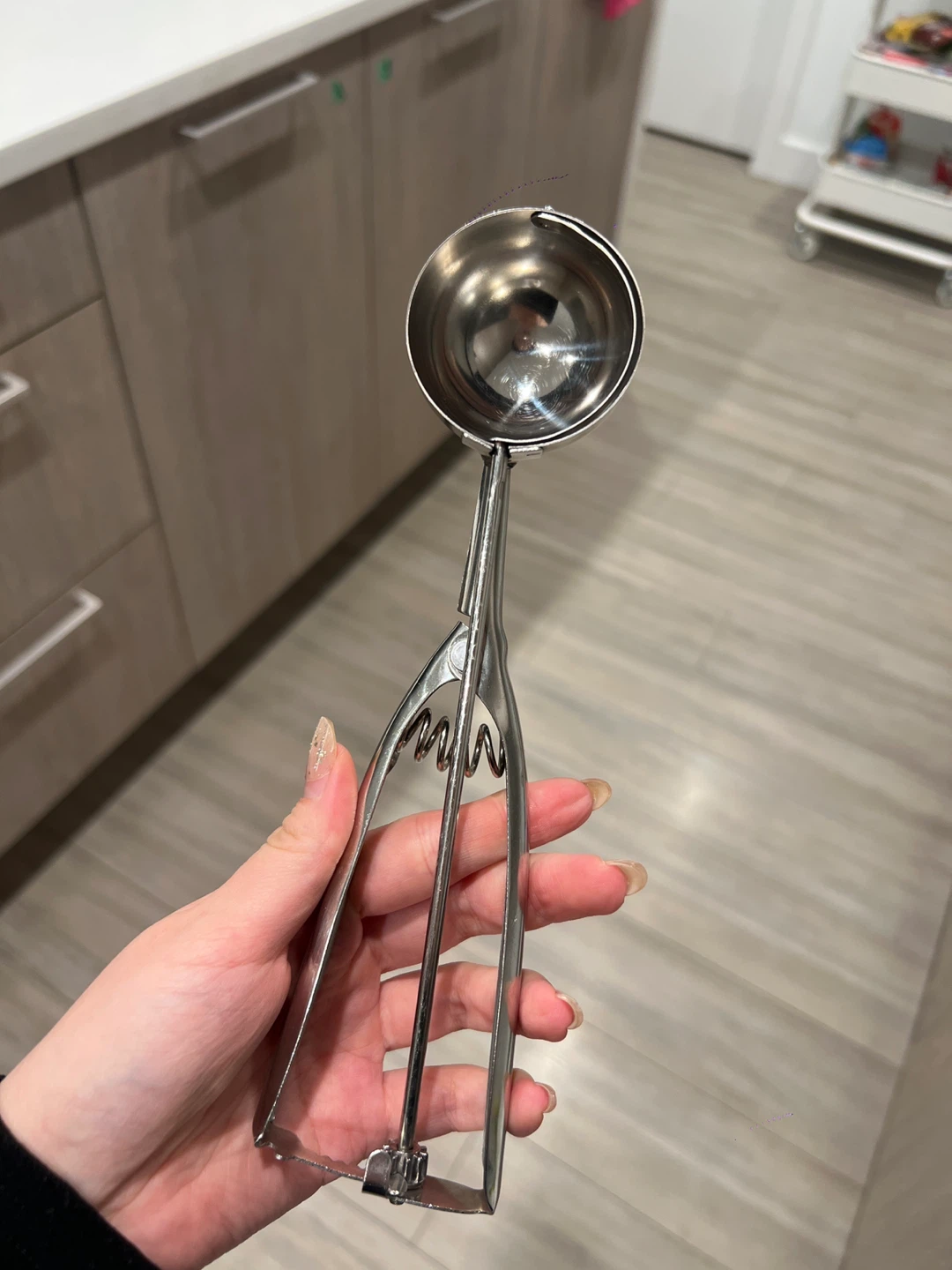 Stainless Steel Ice Cream Scoop