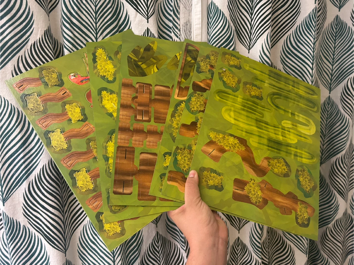 Bio Creation/ create your own tropical forest - photo 4