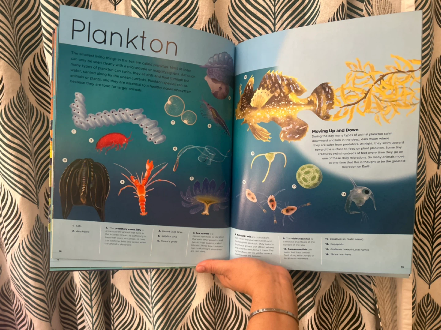 New Bio Creation/ create your own coral reef - photo 2