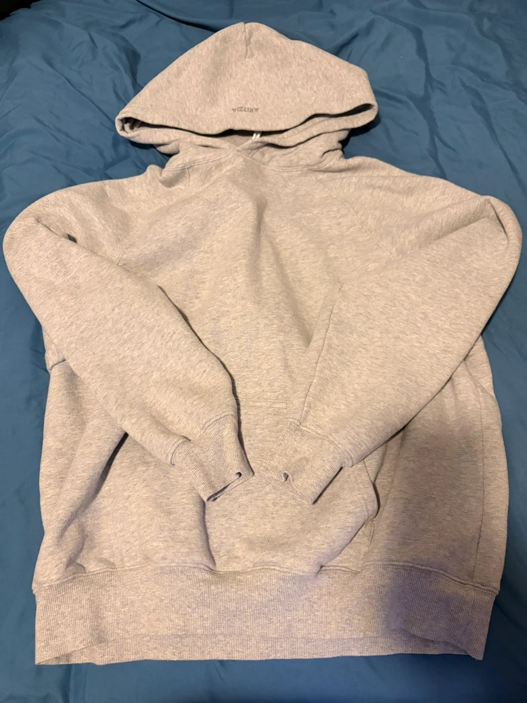 Aritzia Sweatfleece Cozy Fleece Mega Fit Hoodie - XS