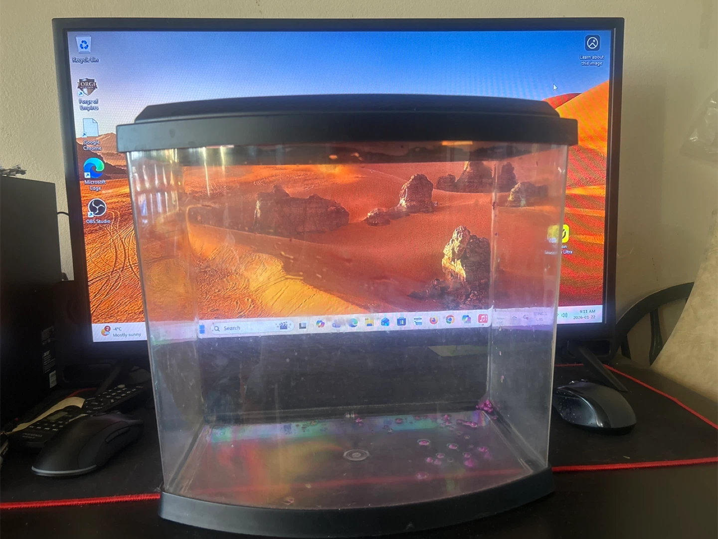5 gallon Fish Tank