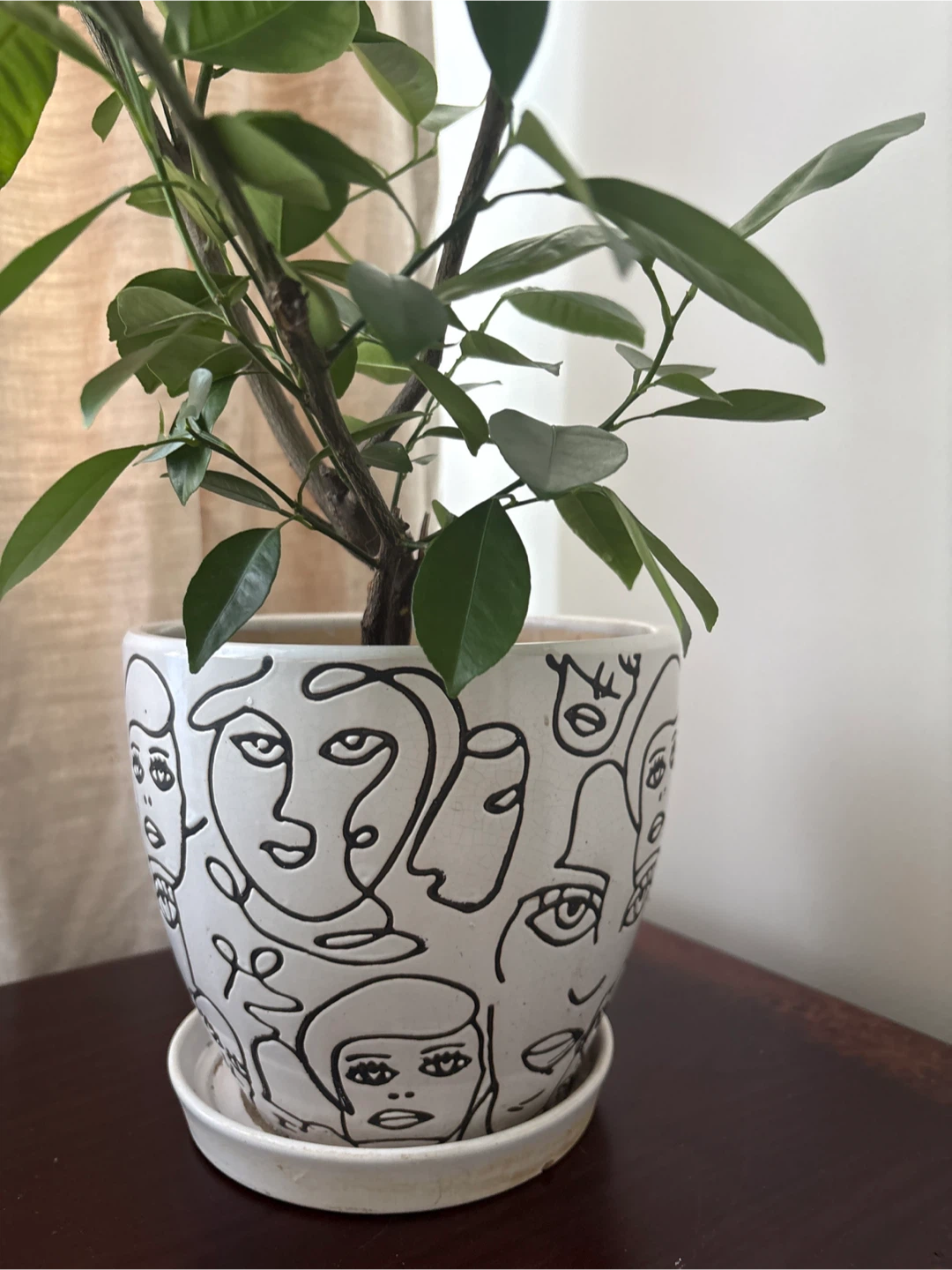 Mini Orange Plant in a Decorative Face Pot - photo 3