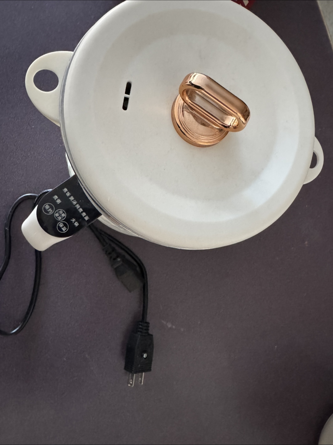 Small Electric Pot with Steamer