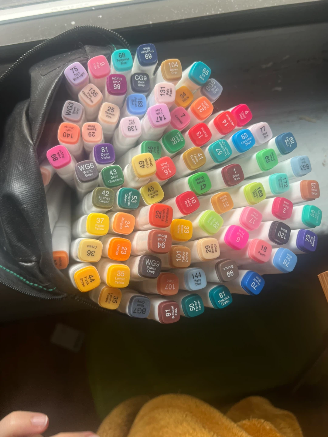 Coloring markers - alcohol markers
