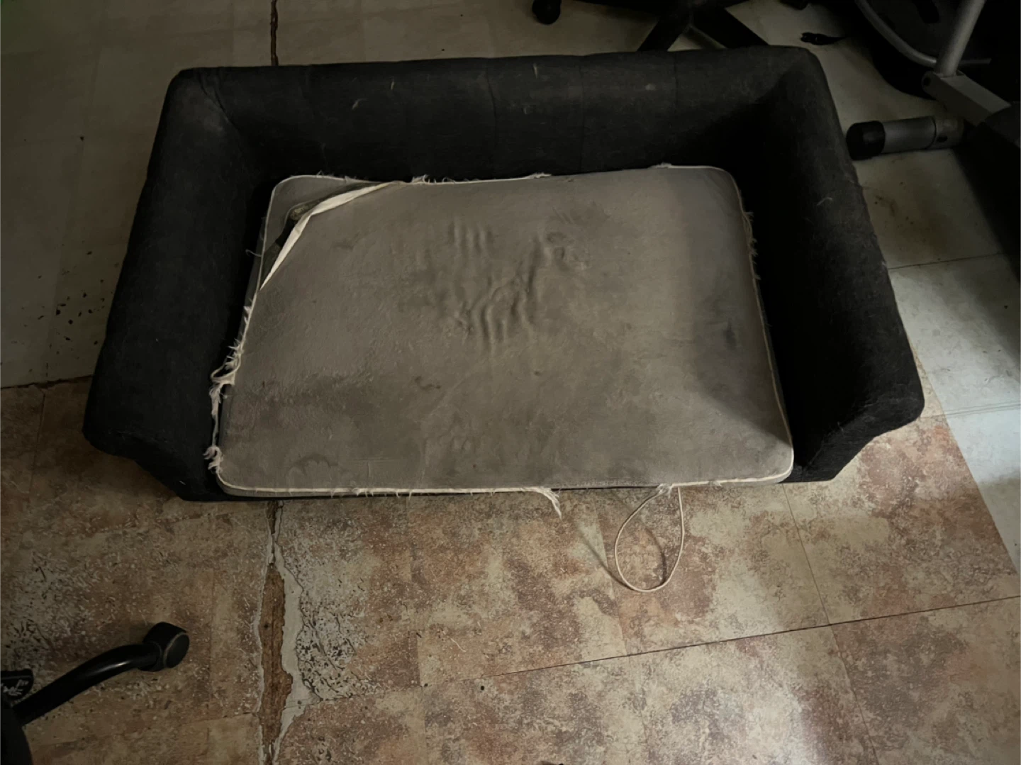 Used Dog Bed - Black